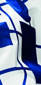 Fédération Internationale de l&#039;Automobile cover image